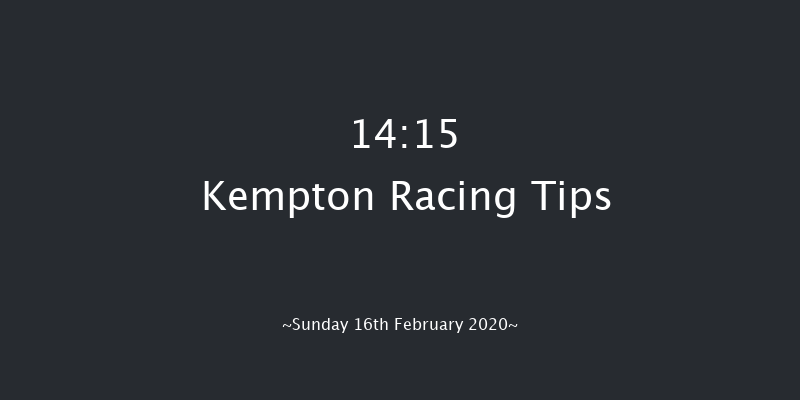 32Red On The App Store Novice Stakes Kempton 14:15 Stakes (Class 5) 6f Wed 12th Feb 2020
