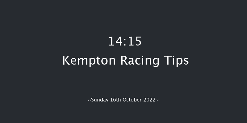 Kempton 14:15 Handicap Chase (Class 4) 18f Wed 12th Oct 2022