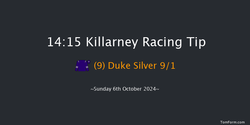 Killarney  14:15 Handicap Hurdle 17f  Sat 24th Aug 2024