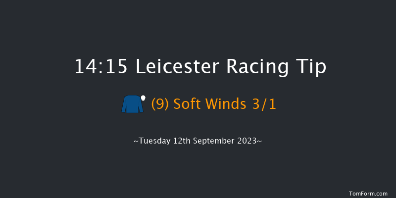 Leicester 14:15 Stakes (Class 4) 7f Wed 23rd Aug 2023