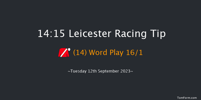 Leicester 14:15 Stakes (Class 4) 7f Wed 23rd Aug 2023