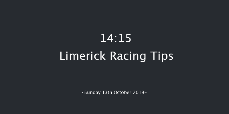 Limerick 14:15 Handicap Hurdle 16f Sat 12th Oct 2019