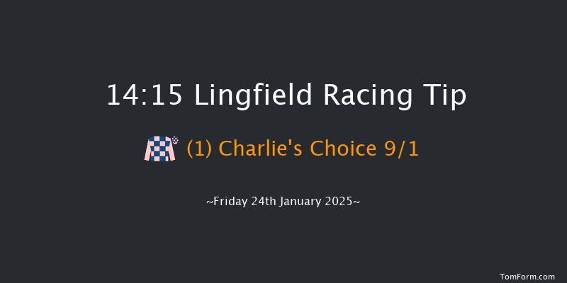 Lingfield  14:15 Handicap (Class 5) 12f Wed 22nd Jan 2025