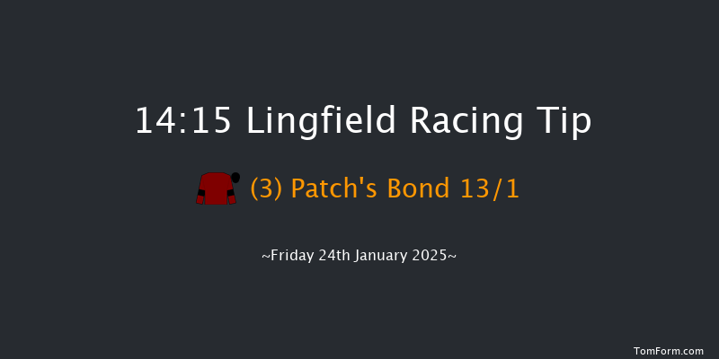 Lingfield  14:15 Handicap (Class 5) 12f Wed 22nd Jan 2025