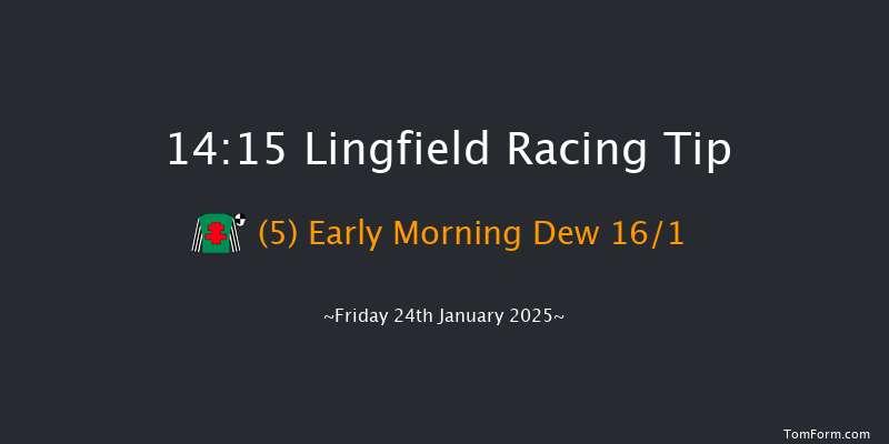 Lingfield  14:15 Handicap (Class 5) 12f Wed 22nd Jan 2025
