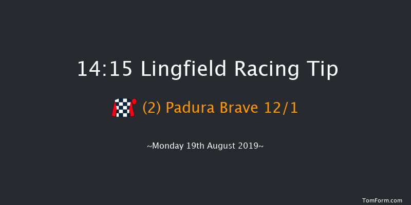 Lingfield 14:15 Handicap (Class 6) 10f Thu 15th Aug 2019