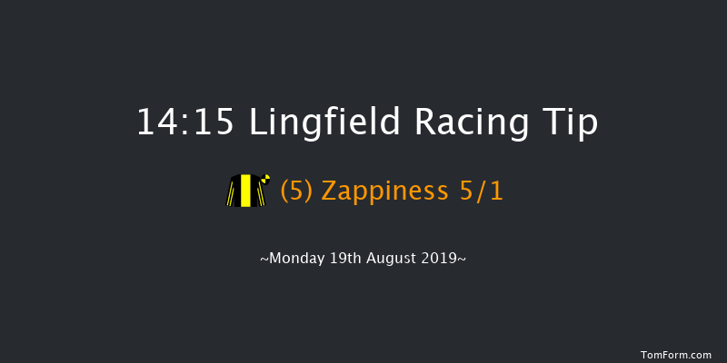 Lingfield 14:15 Handicap (Class 6) 10f Thu 15th Aug 2019