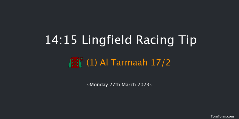 Lingfield 14:15 Stakes (Class 6) 8f Sat 25th Mar 2023