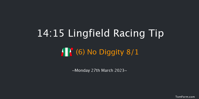 Lingfield 14:15 Stakes (Class 6) 8f Sat 25th Mar 2023