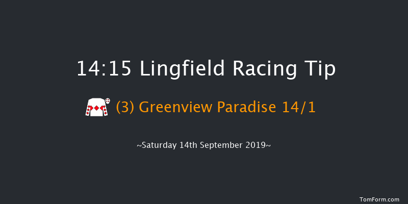 Lingfield 14:15 Handicap (Class 6) 14f Thu 5th Sep 2019