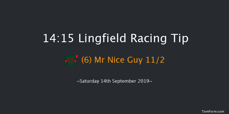 Lingfield 14:15 Handicap (Class 6) 14f Thu 5th Sep 2019