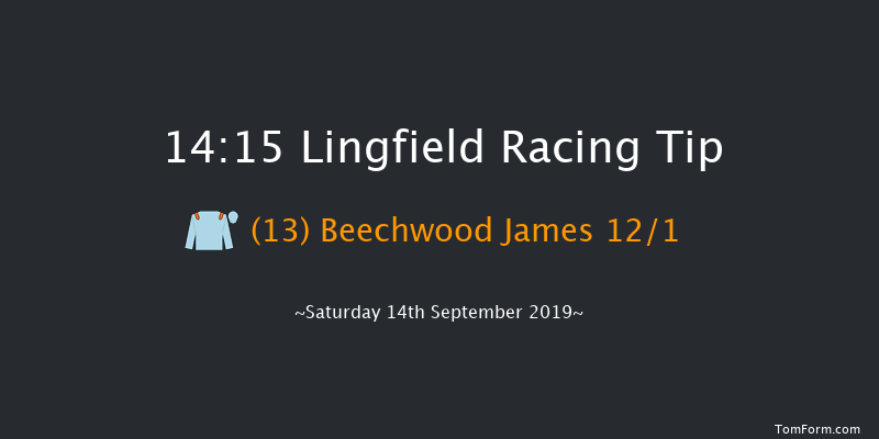 Lingfield 14:15 Handicap (Class 6) 14f Thu 5th Sep 2019