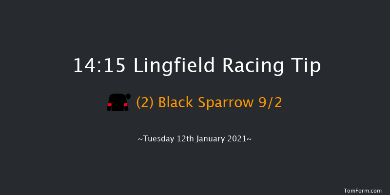 Play Ladbrokes 5-A-Side On Football Handicap Lingfield 14:15 Handicap (Class 5) 5f Sat 9th Jan 2021