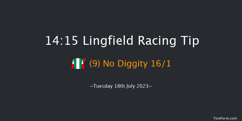 Lingfield 14:15 Handicap (Class 6) 10f Wed 12th Jul 2023
