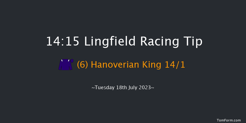 Lingfield 14:15 Handicap (Class 6) 10f Wed 12th Jul 2023