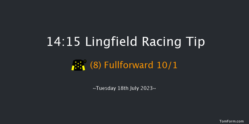 Lingfield 14:15 Handicap (Class 6) 10f Wed 12th Jul 2023