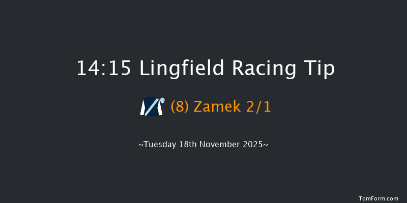 Lingfield 14-15 (Class 4) 16f Tue 11th Nov 2025
