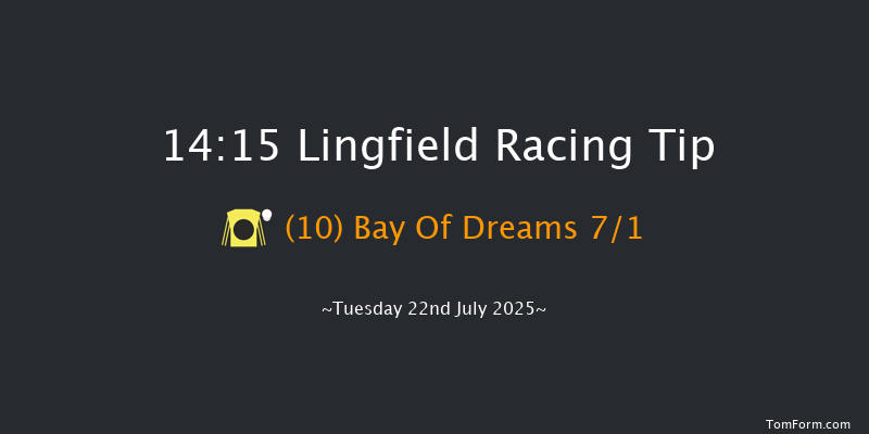 Lingfield 14-15 (Class 5) 9f Tue 8th Jul 2025