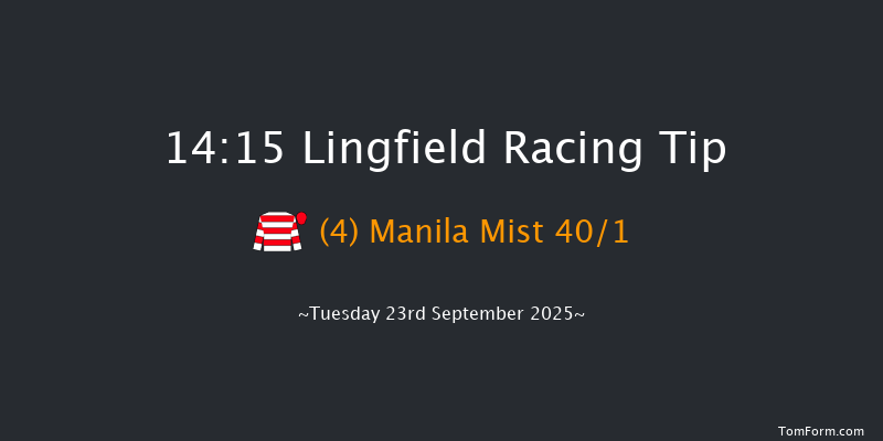 Lingfield 14-15 (Class 6) 10f Sat 13th Sep 2025