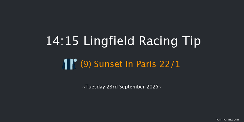 Lingfield 14-15 (Class 6) 10f Sat 13th Sep 2025