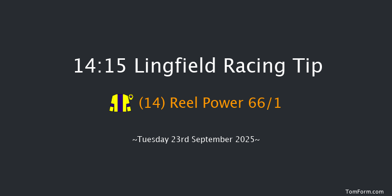 Lingfield 14-15 (Class 6) 10f Sat 13th Sep 2025
