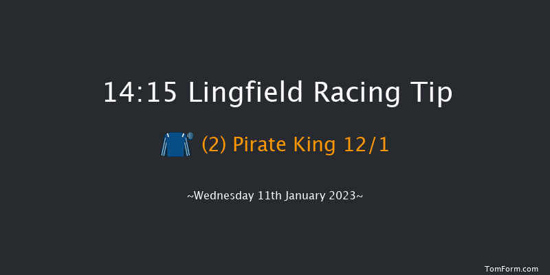 Lingfield 14:15 Handicap (Class 3) 12f Sat 7th Jan 2023