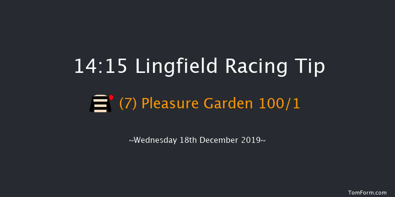 Lingfield 14:15 Stakes (Class 5) 8f Wed 11th Dec 2019