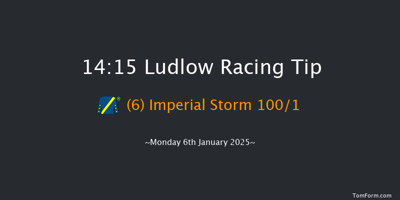 Ludlow  14:15 Handicap Hurdle (Class 4) 24f Wed 18th Dec 2024
