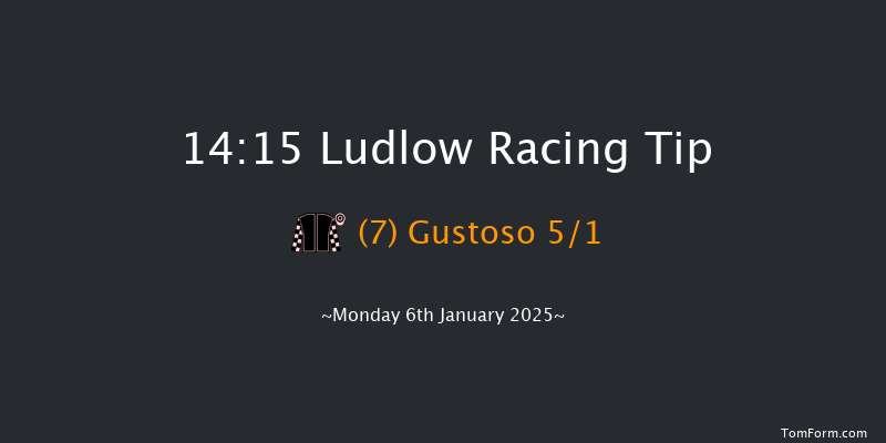 Ludlow  14:15 Handicap Hurdle (Class 4) 24f Wed 18th Dec 2024