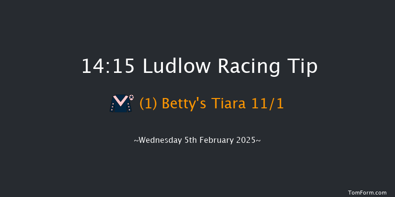 Ludlow  14:15 Maiden Hurdle (Class 4) 21f Thu 16th Jan 2025