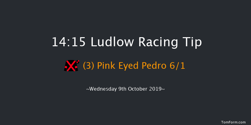 Ludlow 14:15 Handicap Chase (Class 3) 20f Thu 1st Jan 1970