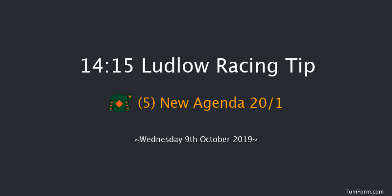Ludlow 14:15 Handicap Chase (Class 3) 20f Thu 1st Jan 1970