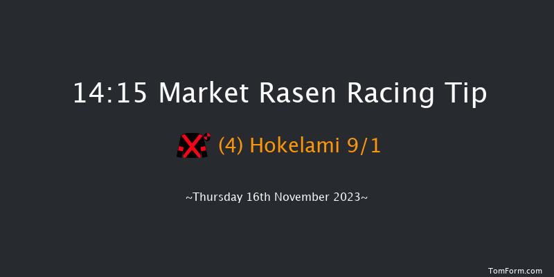 Market Rasen 14:15 Handicap Chase (Class 5) 21f Sat 30th Sep 2023