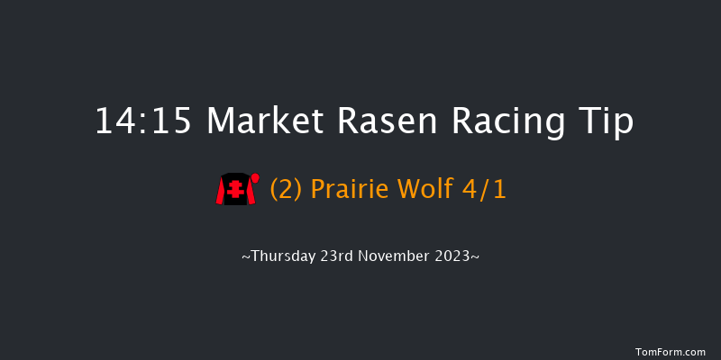 Market Rasen 14:15 Handicap Chase (Class 4) 21f Thu 16th Nov 2023
