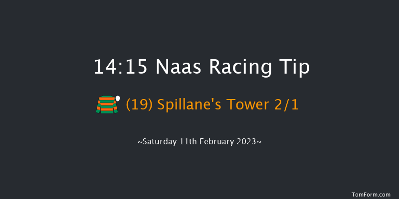 Naas 14:15 Maiden Hurdle 19f Sun 29th Jan 2023