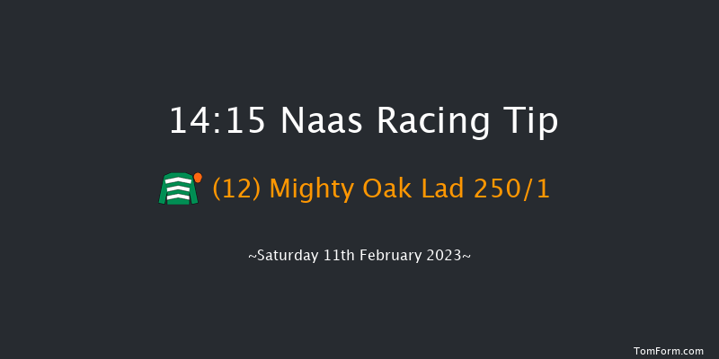 Naas 14:15 Maiden Hurdle 19f Sun 29th Jan 2023