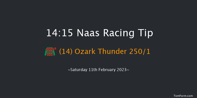Naas 14:15 Maiden Hurdle 19f Sun 29th Jan 2023