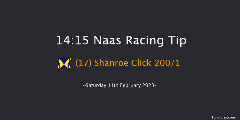 Naas 14:15 Maiden Hurdle 19f Sun 29th Jan 2023