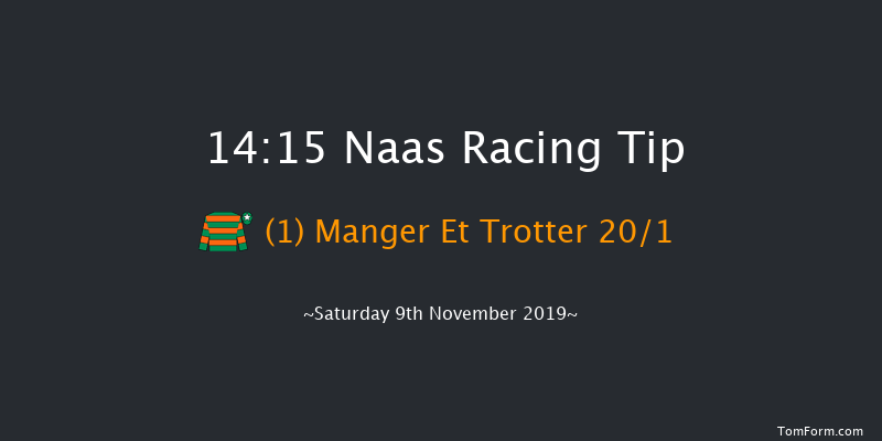 Naas 14:15 Handicap Chase 20f Sun 3rd Nov 2019