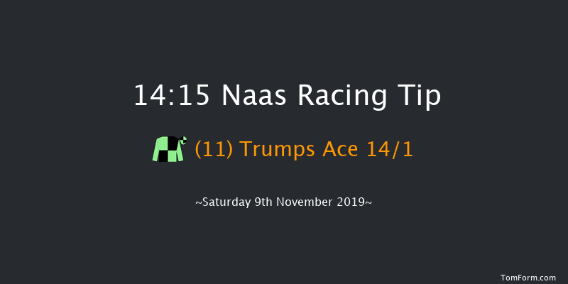 Naas 14:15 Handicap Chase 20f Sun 3rd Nov 2019
