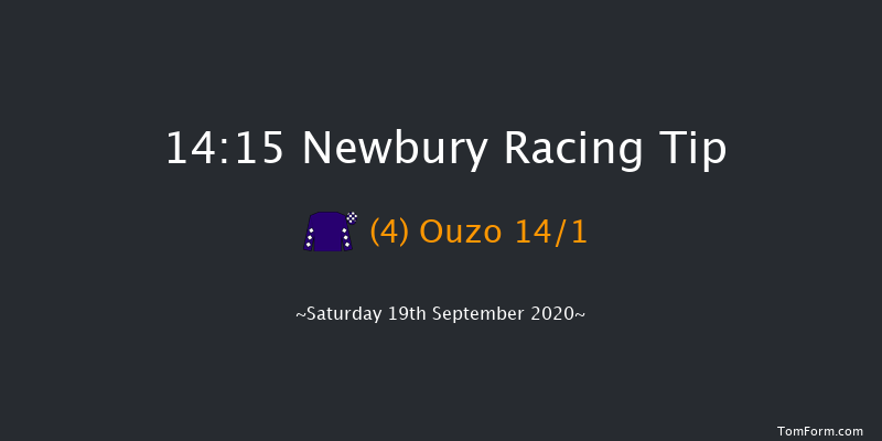 Dubai Duty Free Handicap Newbury 14:15 Handicap (Class 2) 10f Fri 18th Sep 2020