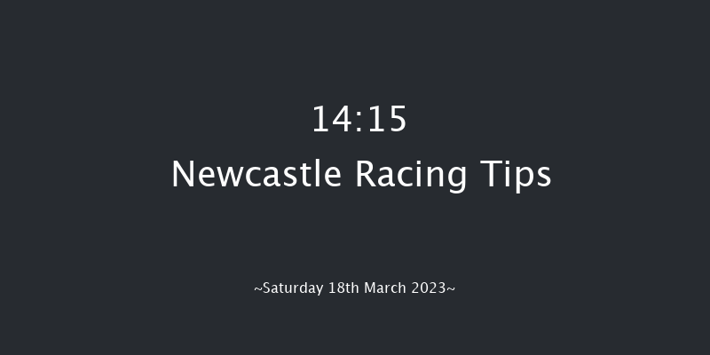 Newcastle 14:15 Handicap Chase (Class 4) 20f Fri 17th Mar 2023