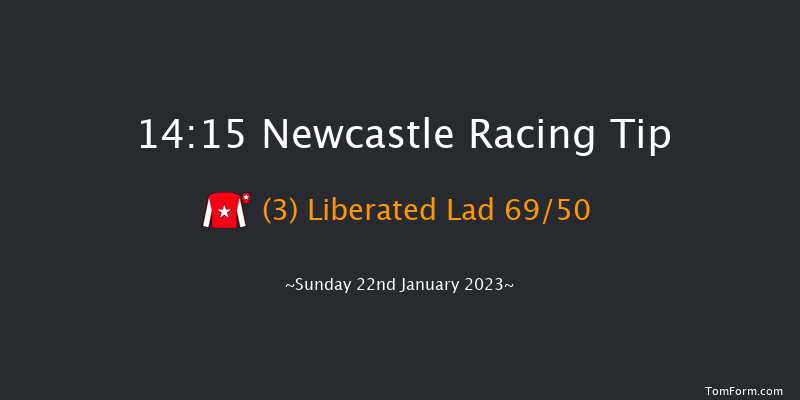 Newcastle 14:15 Handicap (Class 6) 12f Fri 20th Jan 2023
