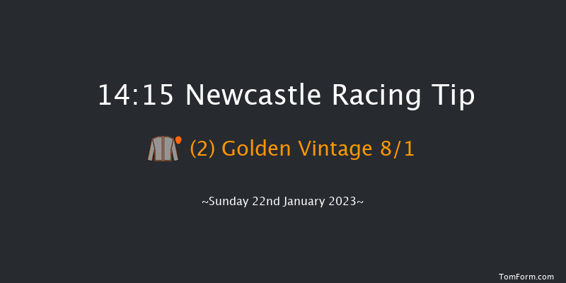 Newcastle 14:15 Handicap (Class 6) 12f Fri 20th Jan 2023