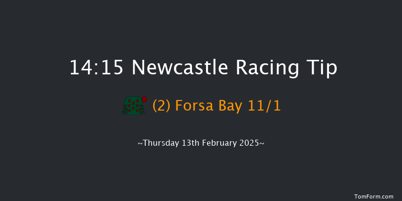 Newcastle  14:15 Handicap Hurdle (Class 5) 17f Sat 8th Feb 2025
