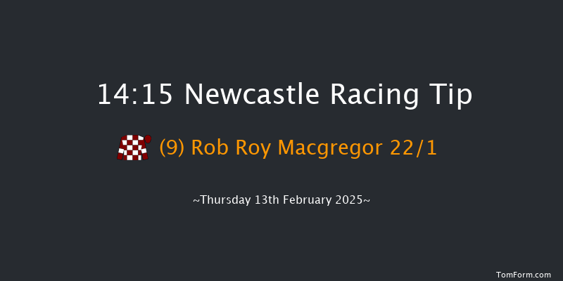 Newcastle  14:15 Handicap Hurdle (Class 5) 17f Sat 8th Feb 2025