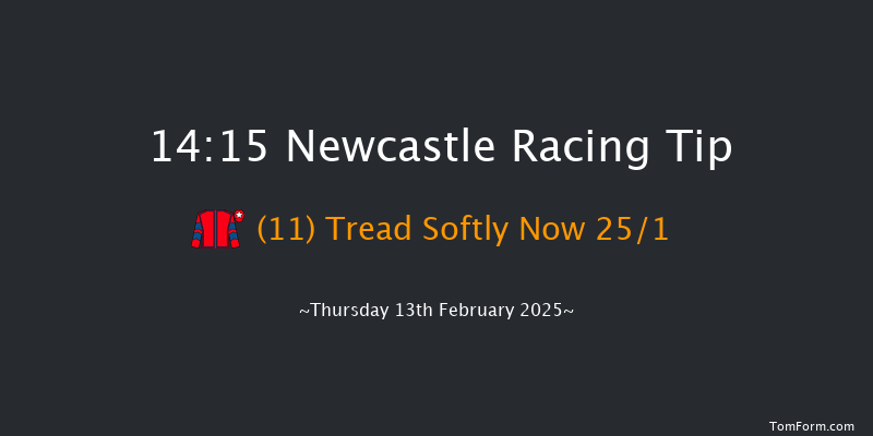 Newcastle  14:15 Handicap Hurdle (Class 5) 17f Sat 8th Feb 2025