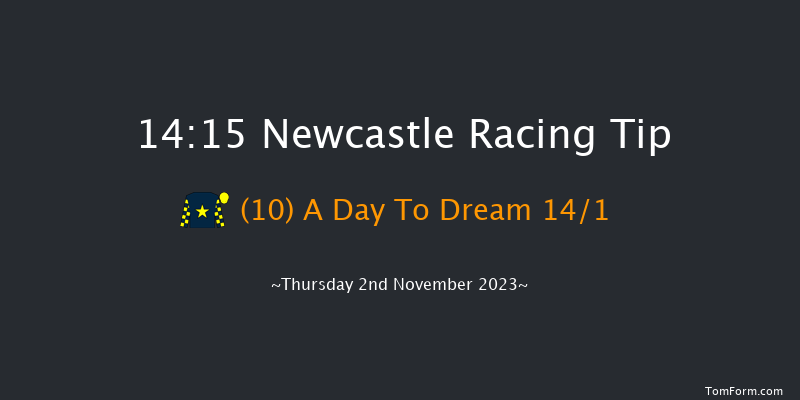 Newcastle 14:15 Handicap (Class 6) 12f Tue 31st Oct 2023