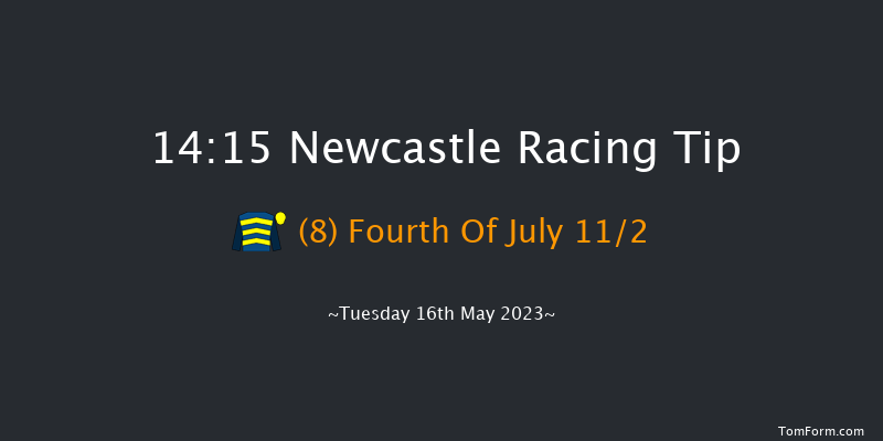 Newcastle 14:15 Handicap Chase (Class 5) 16f Tue 9th May 2023