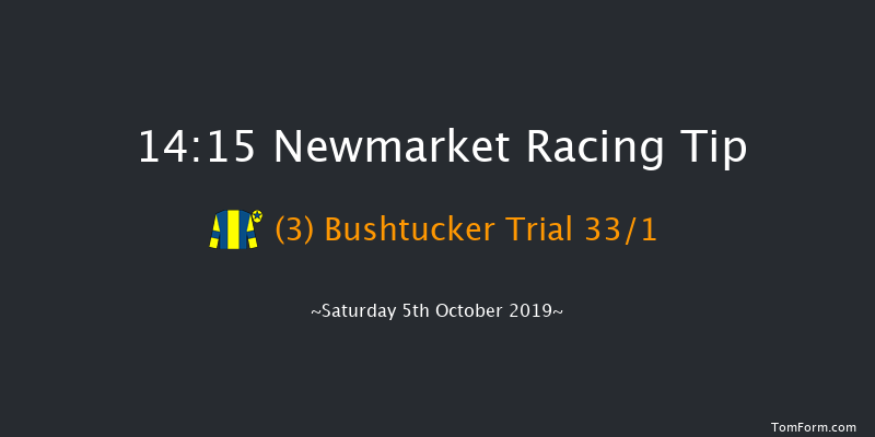 Newmarket 14:15 Stakes (Class 2) 6f Sat 28th Sep 2019